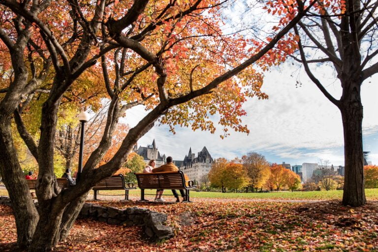 two people talking under Maple trees Immigrate to Canada